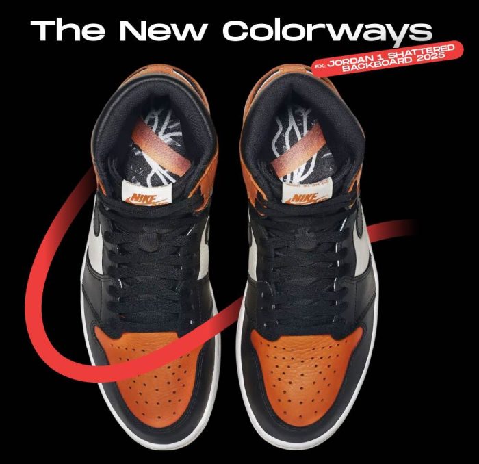 Best Jordan 1 to resell The New Colorways NSB