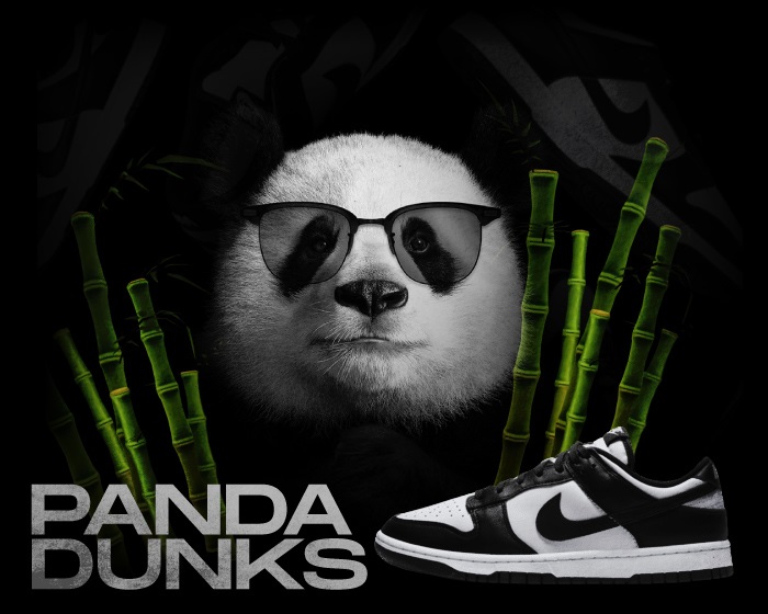 Panda Dunks History NSB
