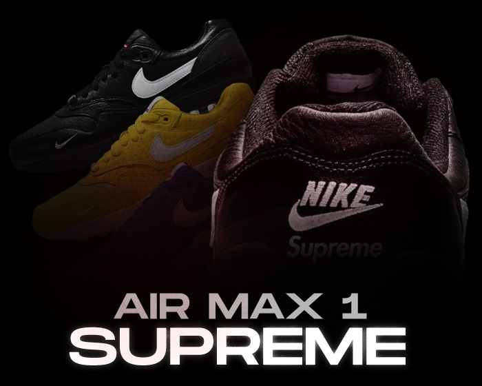 Supreme Air Max 1 NSB